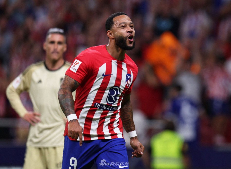 的重要拼图 的重要拼图